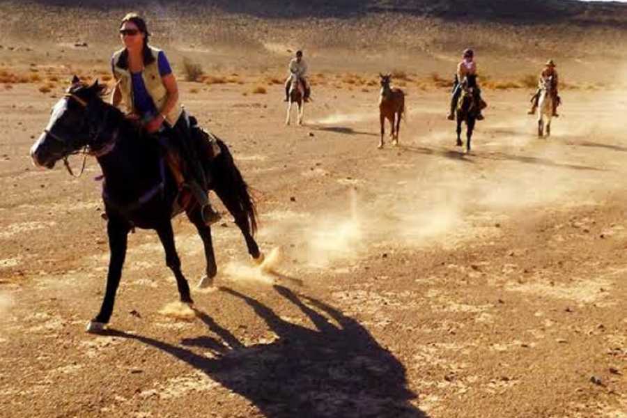 Horse Riding Safari Trip Sharm El Sheikh